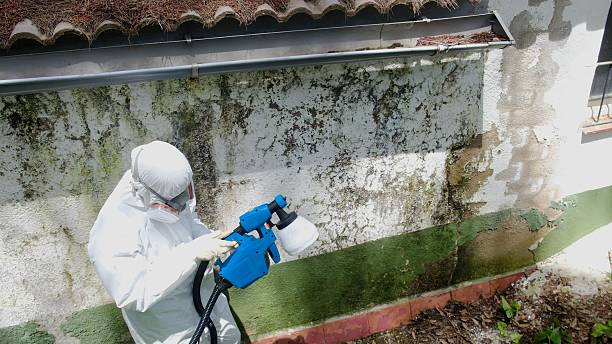 Top rated local Attic Mold Remediation specialists in Lincoln Park, CO
